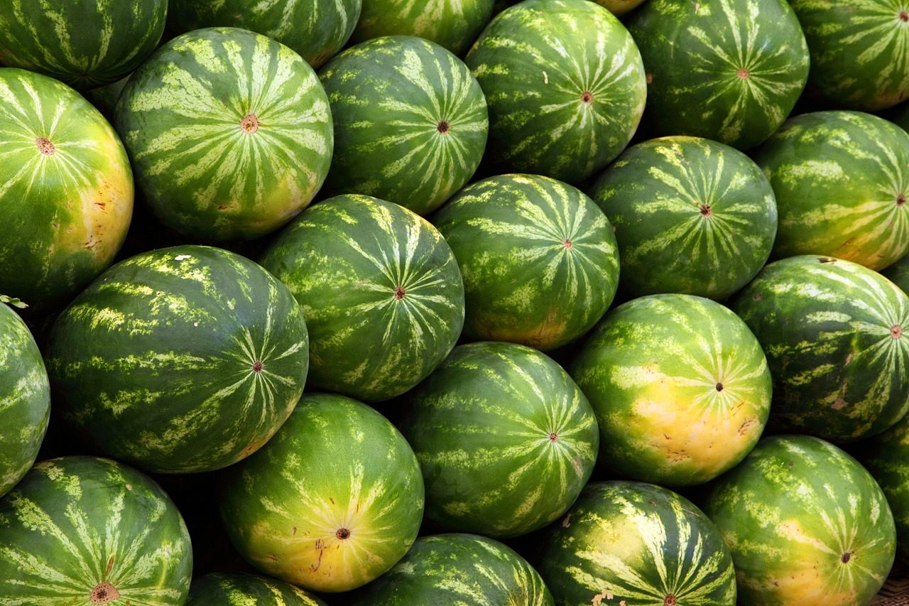 Ranné lúče svetla na čerstvo pokrytej zeleni s kvapkami rosy